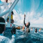 CMAS Freediving Depth World Cup series Philippines