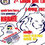 KARATE - 13 TROFEO LOMBARDIA T4