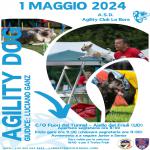 BH - AGILITY DOG - AIELLO DEL FRIULI C/O FUORI DAL TUNNEL - 1 MAGGIO 2024