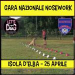 NO - NOSEWORK - LET S DOG - ISOLA D’ELBA - 25 APRILE