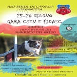 BH - AGILTY DOG -  FEUDI DI CANOSSA CAVRIAGO RE - 25 GIUGNO
