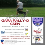 RO - RALLY OBEDIENCE - VIMERCATE 29 MAGGIO - OVER THE TOP