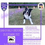 RO - RALLY OBEDIENCE - SAN CANZIAN D_ISONZO GO - 25 SETTEMBRE