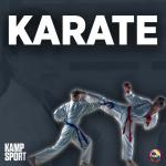 KARATE - ØSTLANDSCUP 4/2023 - ARRANGØR SØKES