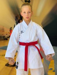 SET-ONLINE Karate