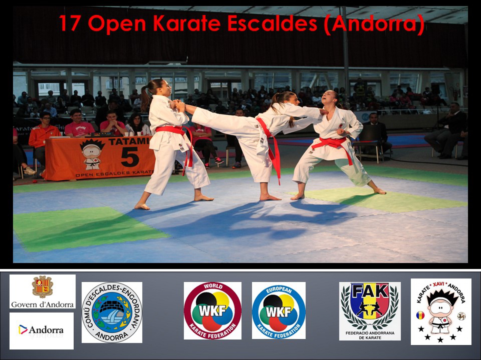 Resultado de imagen de 18 open karate escaldes engordany