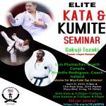 Elite Kata and Kumite Seminar