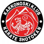 III TURNIEJ MIKOŁAJKOWY KKKS