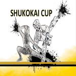2024 Victorian Karate League - Shukokai Cup - Elite Division