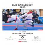 ELIT KARATE CUP 2025