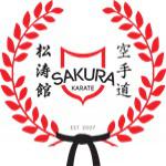XVI POMERANIA CUP 2025 - LIGA SUPER KARATE