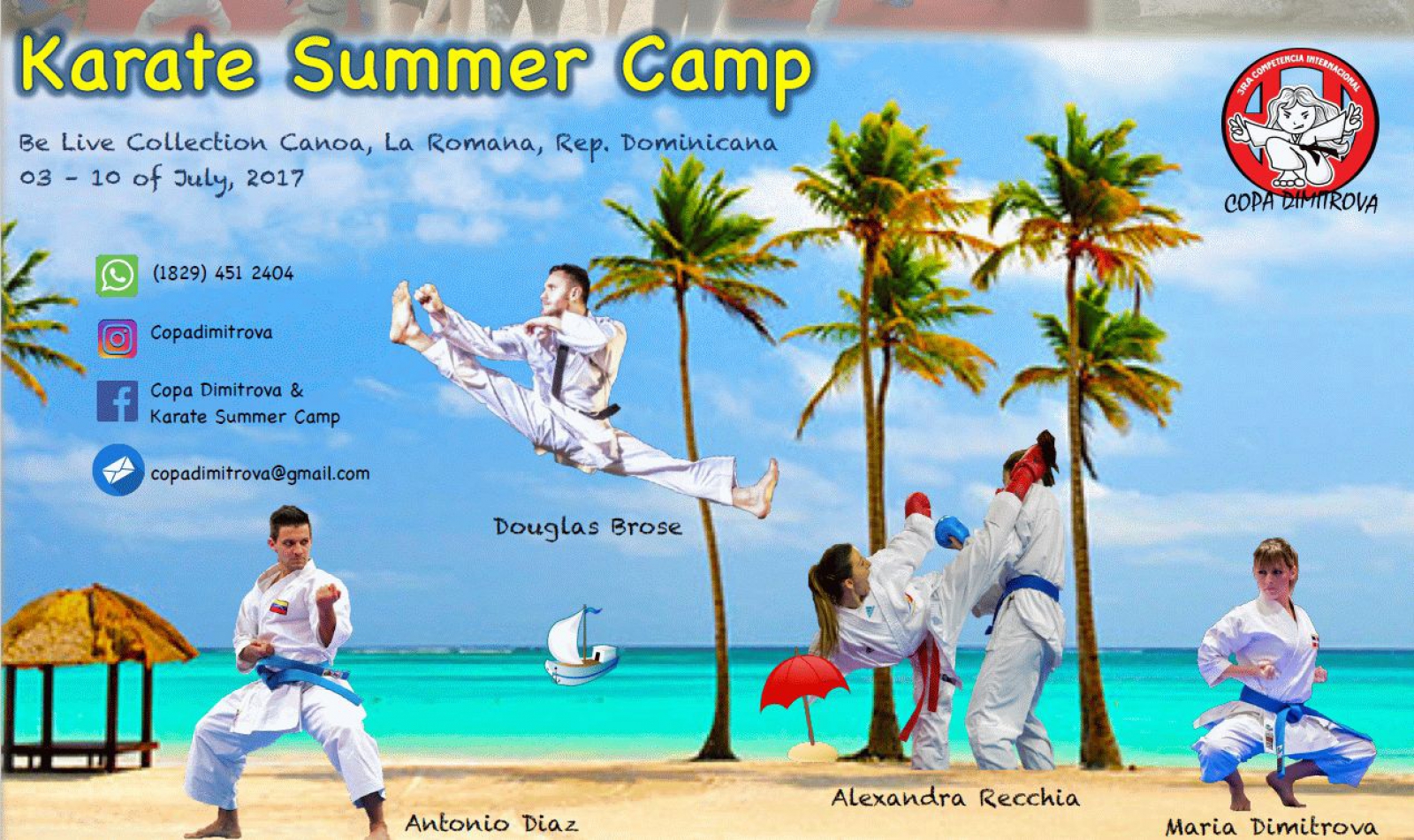 SET Online Karate Karate Summer Camp