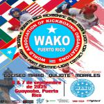 2025 Puerto Rico Kickboxing Open