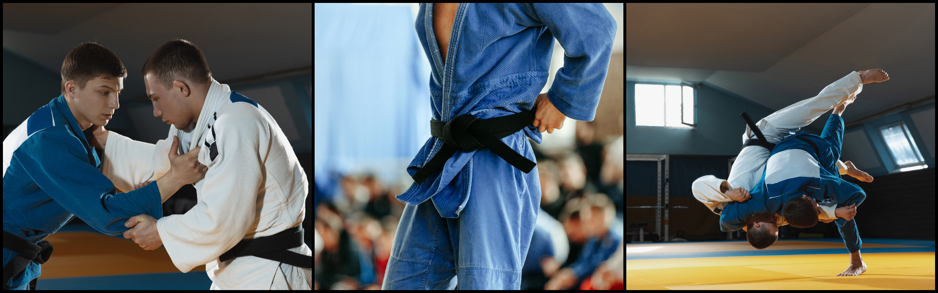 SET Online Judo: RIMINI TRAINING CAMP - With the World Champion ...