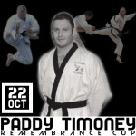 Paddy Timoney Remembrance Cup